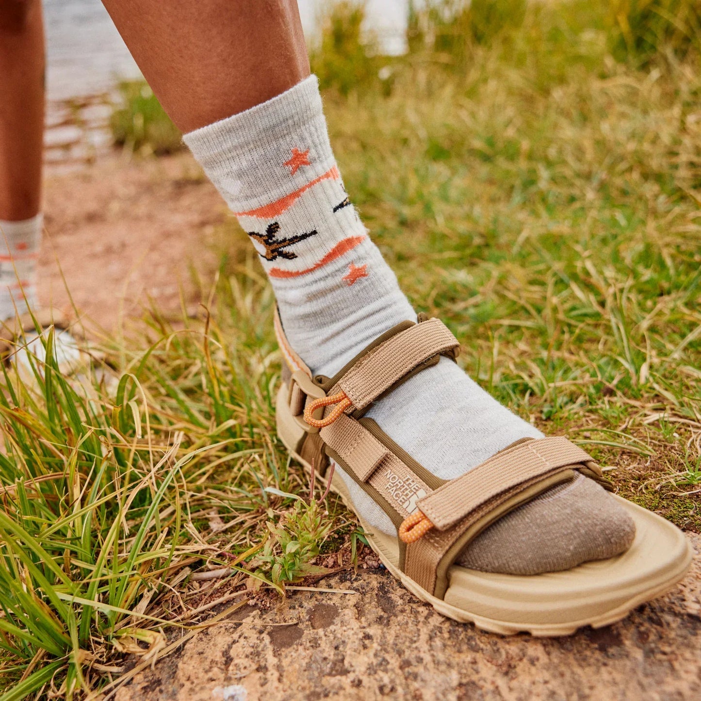 Smartwool - Hike Light Cushion Otter Float Crew Socks - Women's - Ash