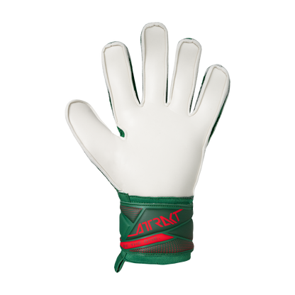 Reusch Attrakt Solid Junior Mexico Colors Goalkeeper Gloves