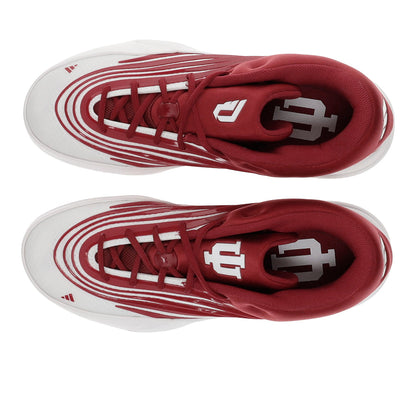 Dame X Indiana Hoosiers Basketball Shoes