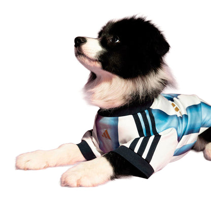 Pet Jersey Argentina (Dog)