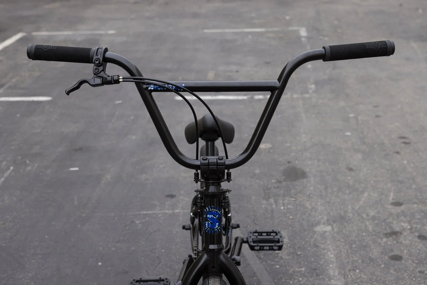 Sunday Forecaster Park Bike (Maca Perez Grasset Signature)
